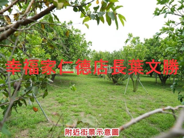 麻豆農地-4
