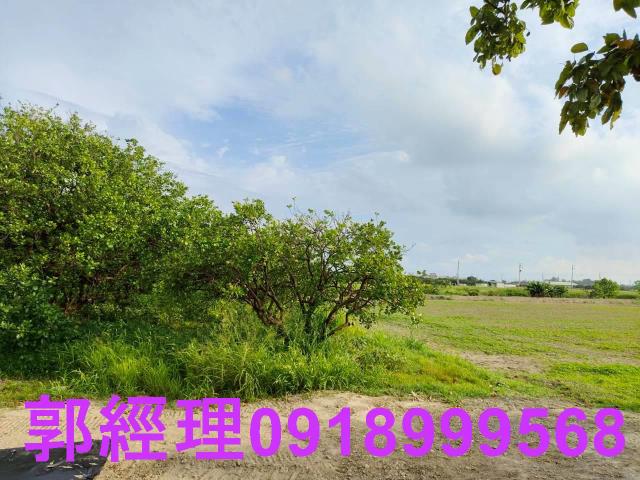 佳里農地-12
