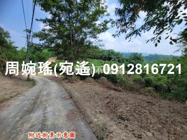 左鎮農地-13