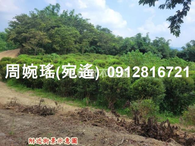 左鎮農地-14
