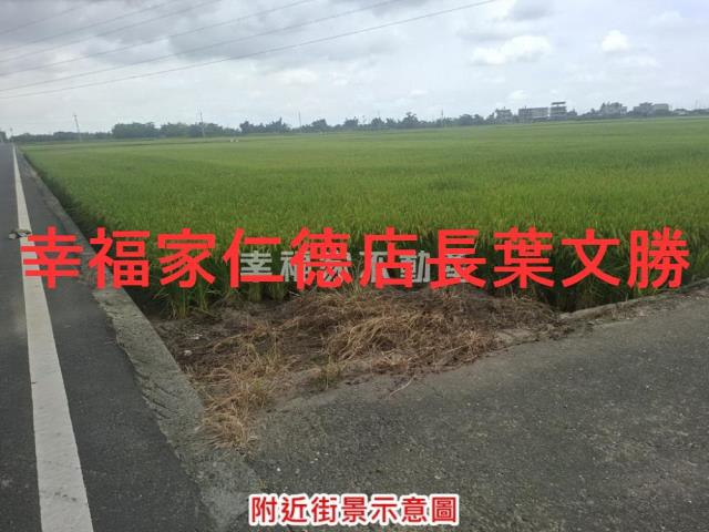 台南白河農地-10