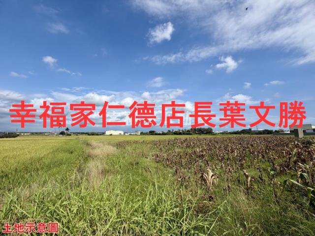 仁德農地-11