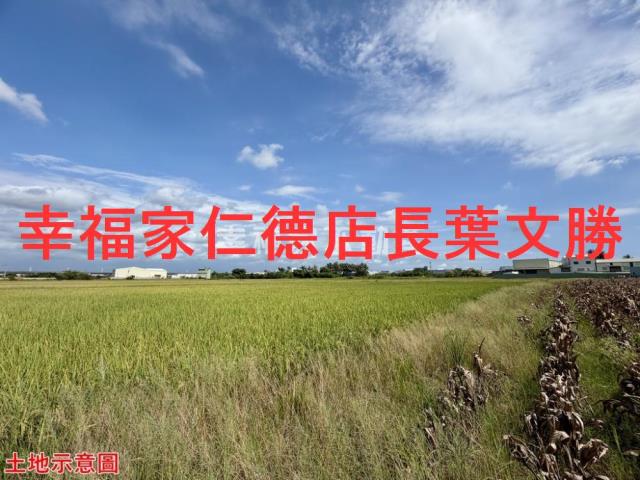 仁德農地-6
