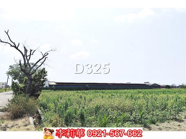 新營農地-3