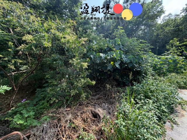 南區農地-0