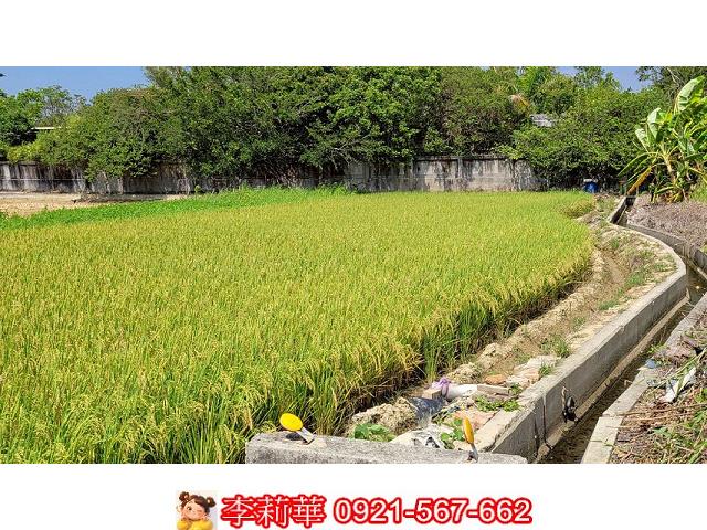 台南農地-9