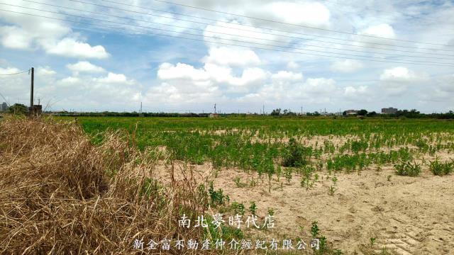 台南農地-5