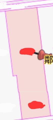 台南新市農地-13