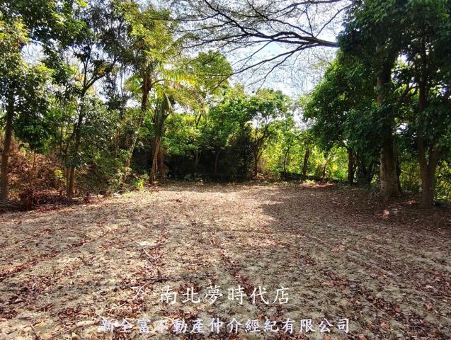 台南左鎮農地-4