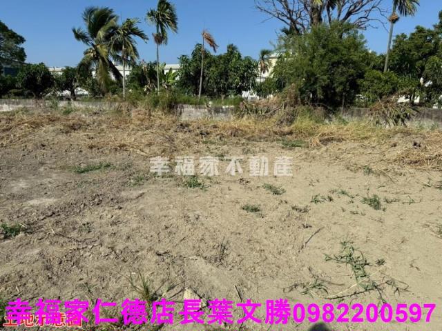 仁德農地-24