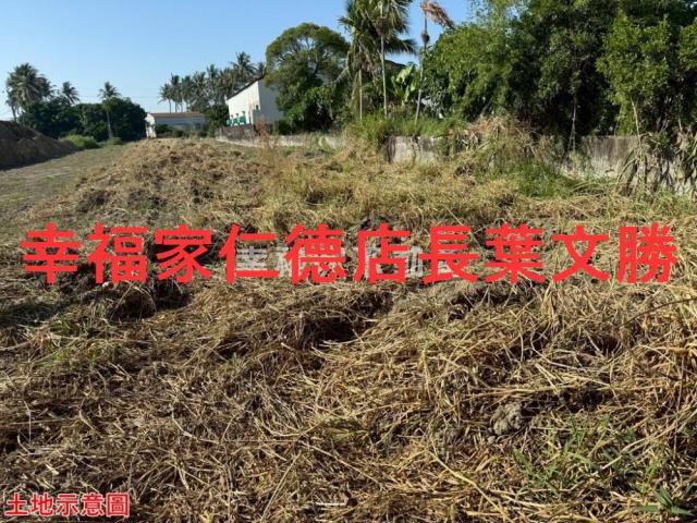 仁德農地-12