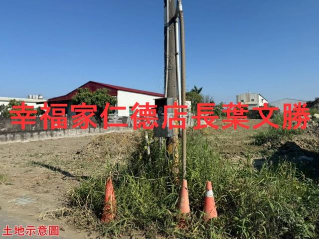 仁德農地-4