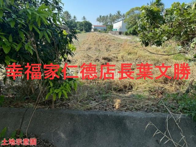 仁德農地-6