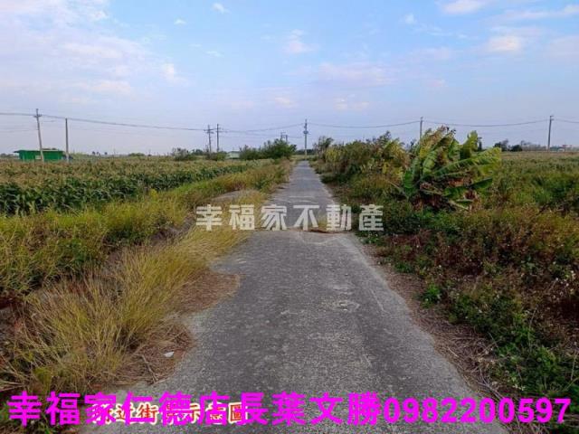 台南農地-20