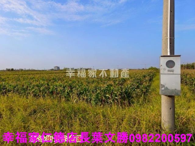 台南農地-1