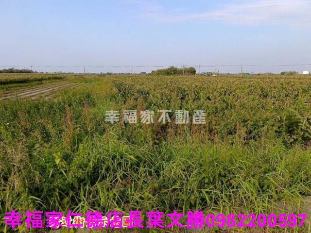 台南農地-29