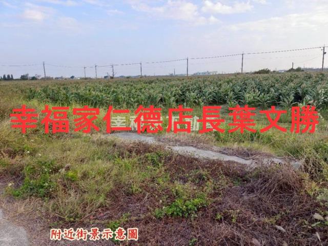 台南農地-11