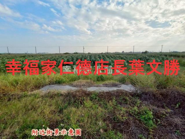 台南農地-4