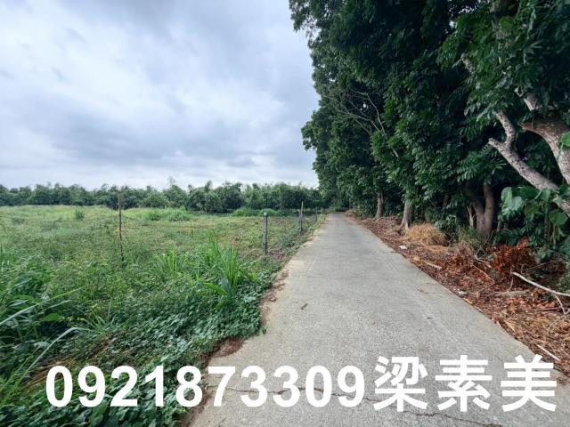 台南關廟農地-3