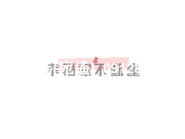 台南安平建地-1
