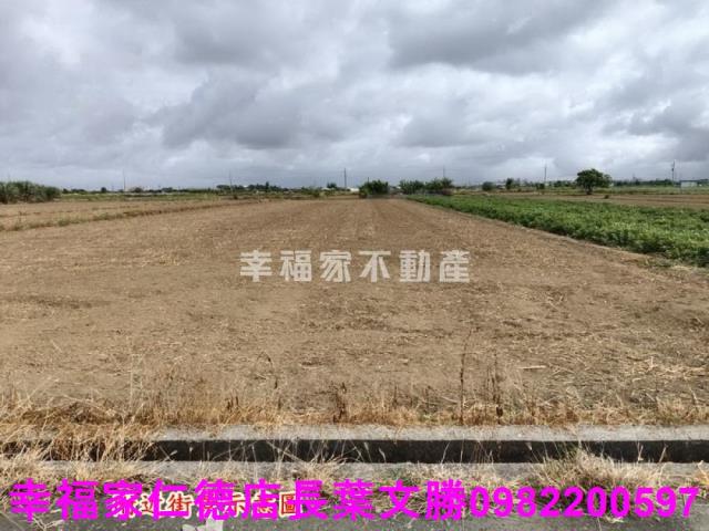 佳里農地-12
