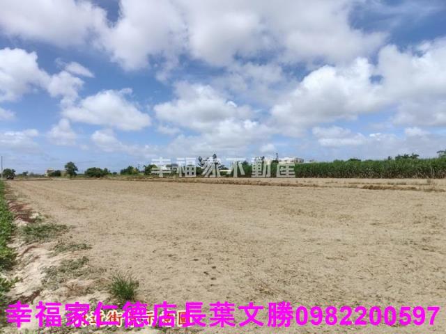 佳里農地-29