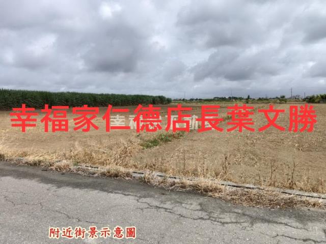 佳里農地-5
