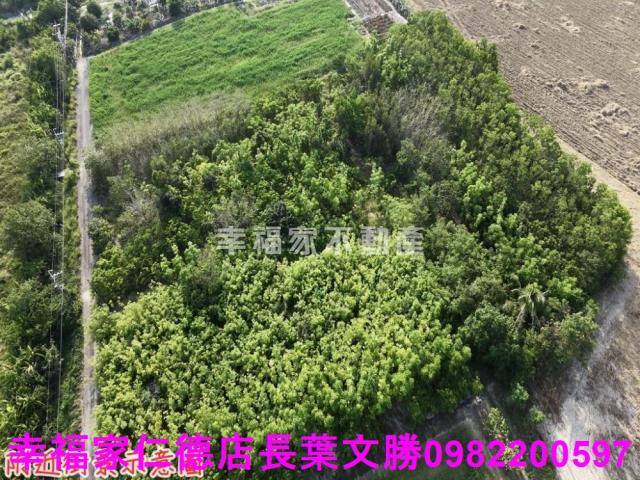 台南農地-3