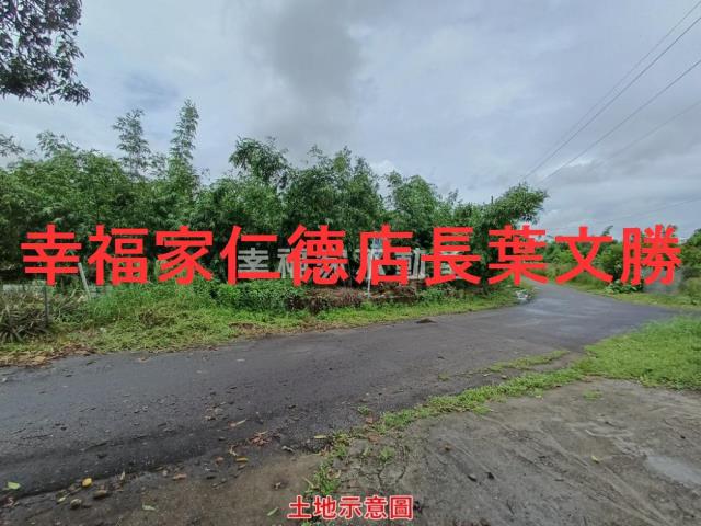 歸仁農地-9
