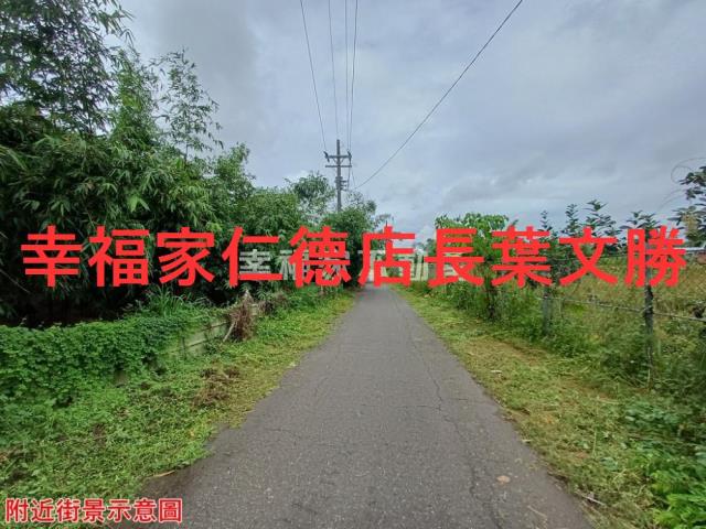 歸仁農地-10