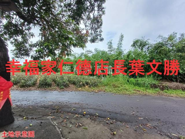 歸仁農地-18