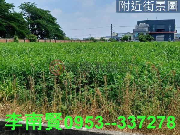 台南西港農地-8