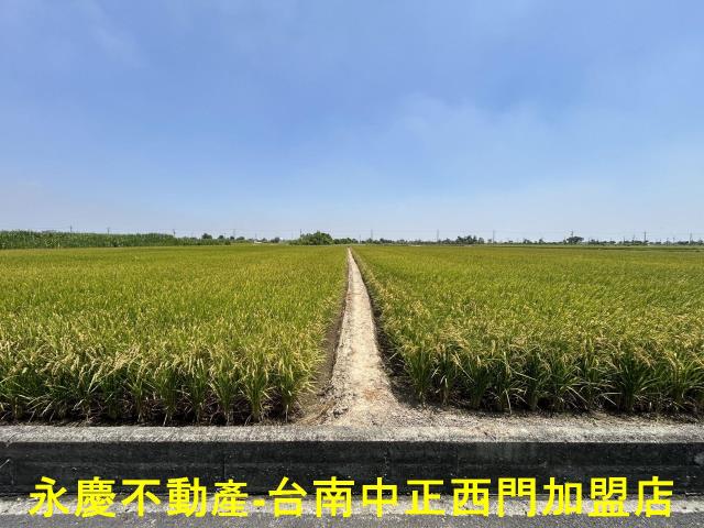 台南柳營農地-0