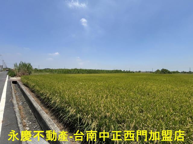台南柳營農地-2