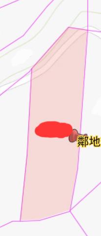 新化農地-6