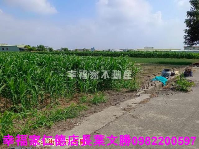 台南安定農地-11