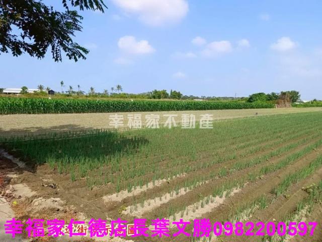台南安定農地-1