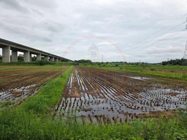 官田農地-9