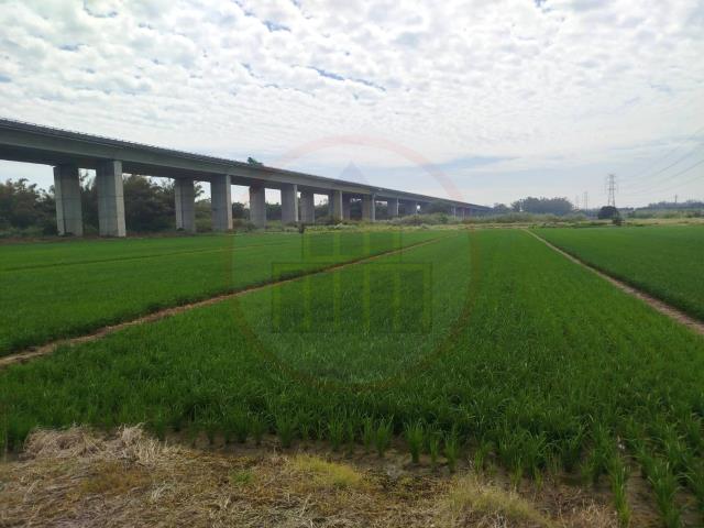 官田農地-1