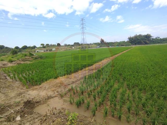 官田農地-2