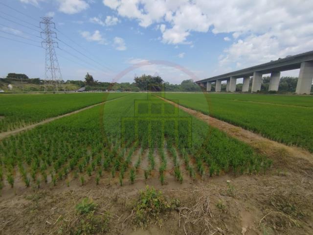 官田農地-3