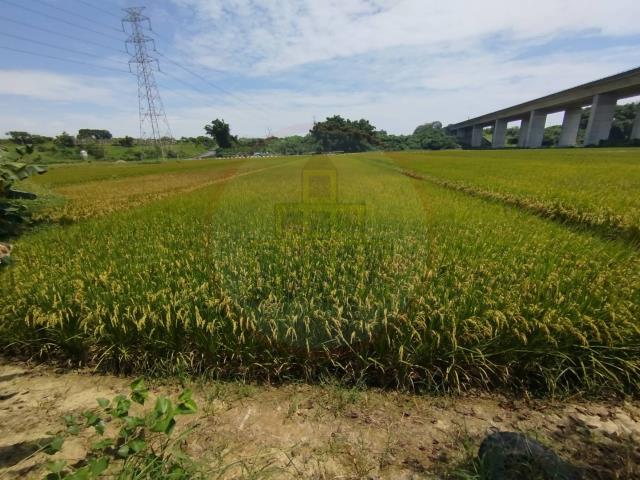 官田農地-0