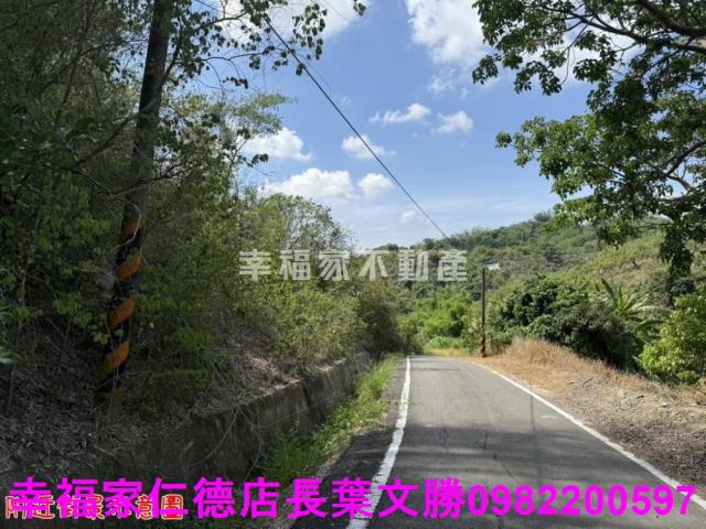 玉井農地-9