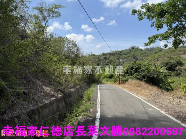 玉井農地-11