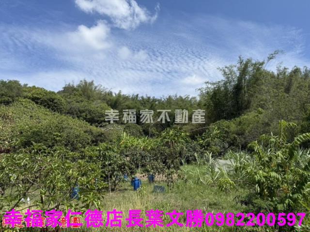 玉井農地-12