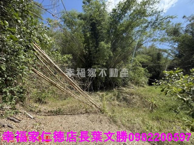 玉井農地-14