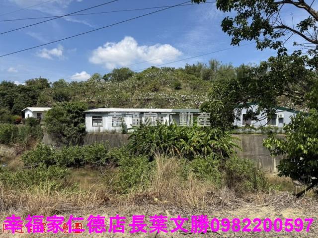 玉井農地-2