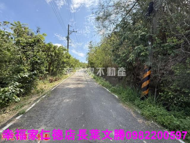 玉井農地-4