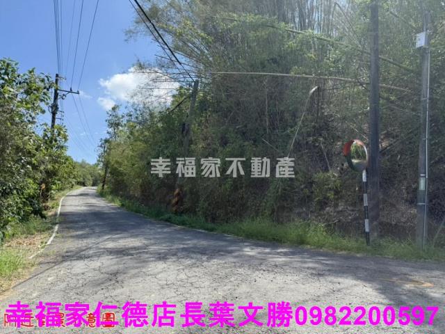 玉井農地-6