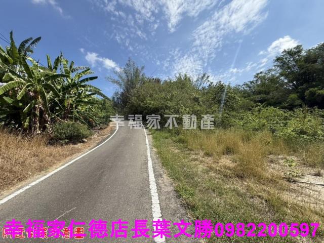 玉井農地-8